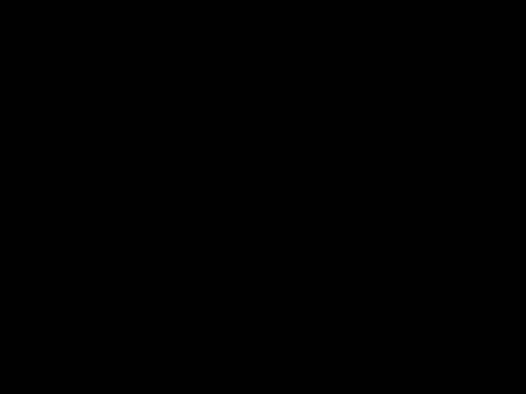 Product L-1001-13 image