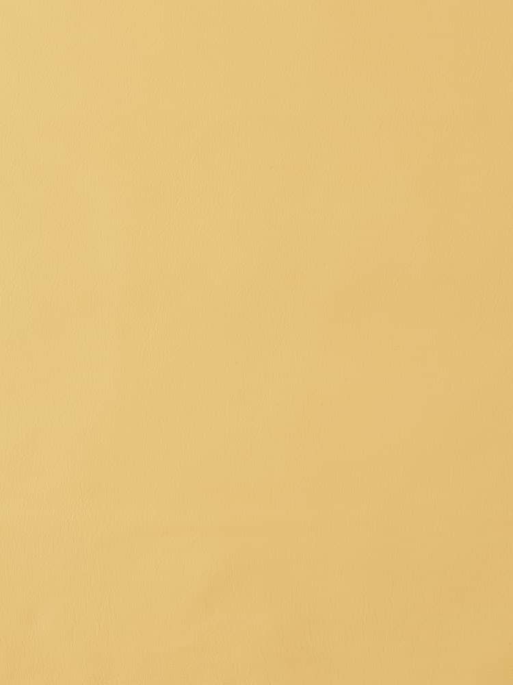 Product L-1003-03 image