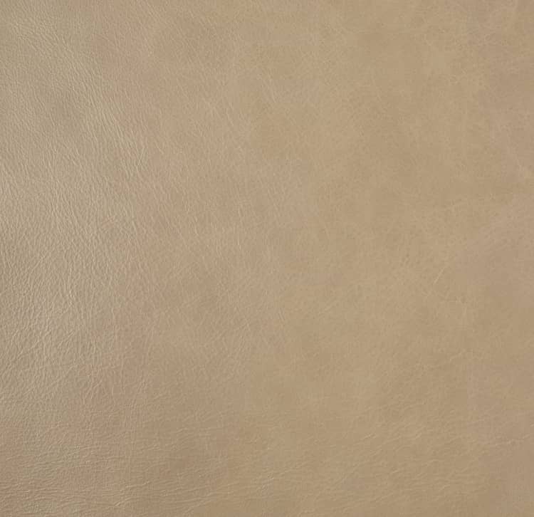 Product L-1008-10 image