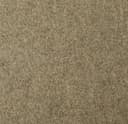 Product color 310003-01 image