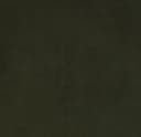 Product color 810003-21 image