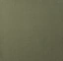 Product color 810003-32 image