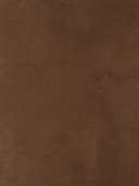 Product color L-1001-04 image