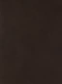 Product color L-1001-09 image