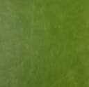 Product color L-1008-01 image