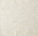 Product color RG007-04 image