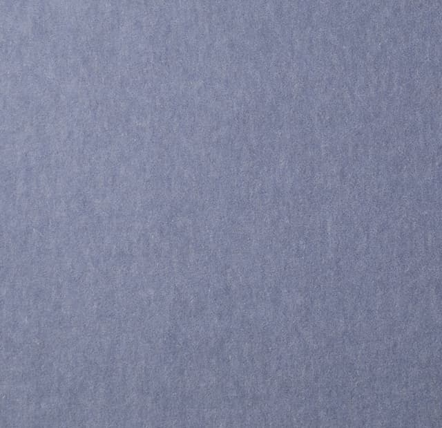 Product RG085-19