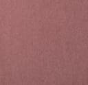 Product color RG085-21 image
