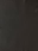 Product color L-1002-08 image