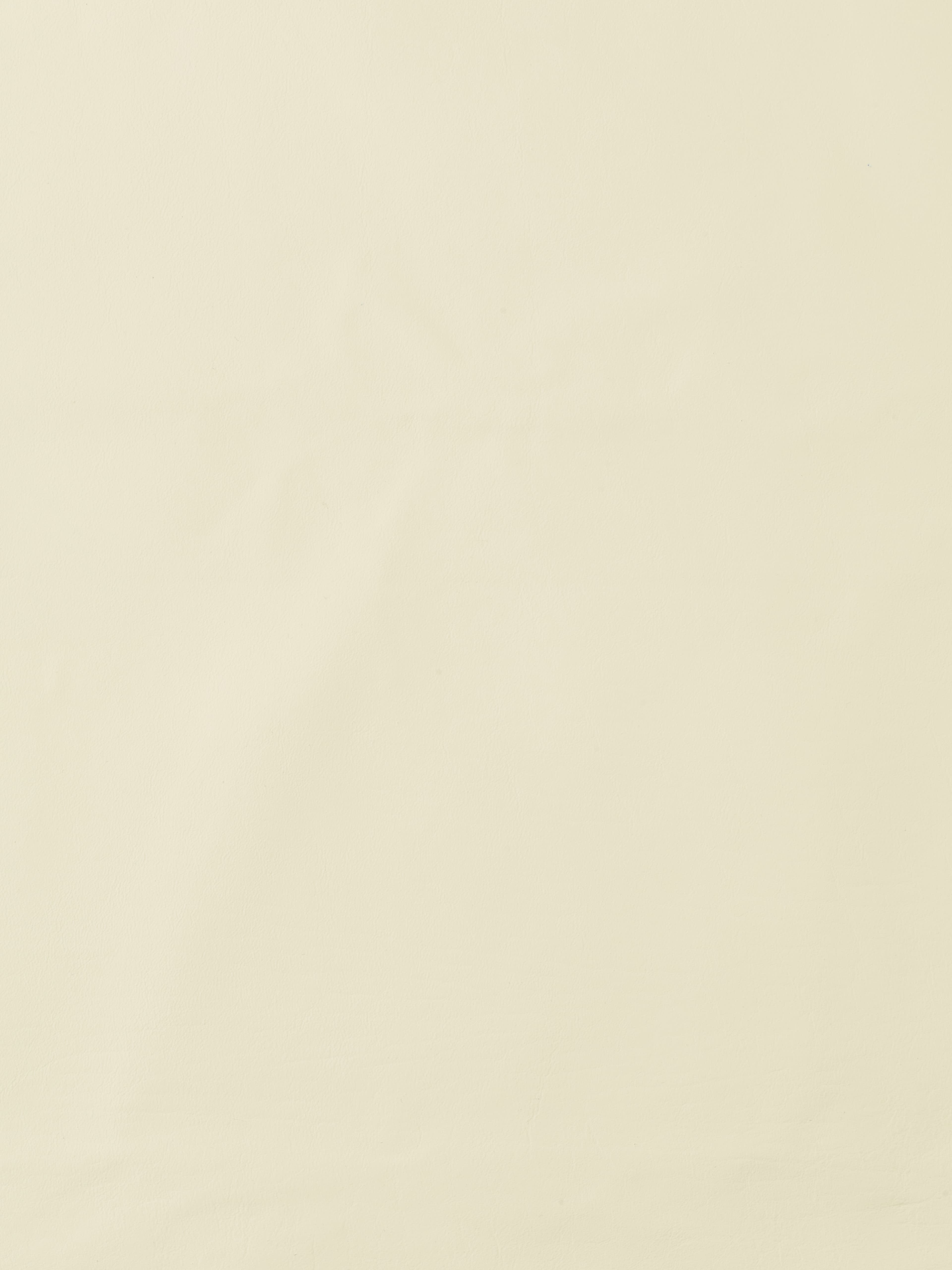 Product L-1003-02 image