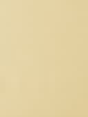 Product color L-1003-05 image