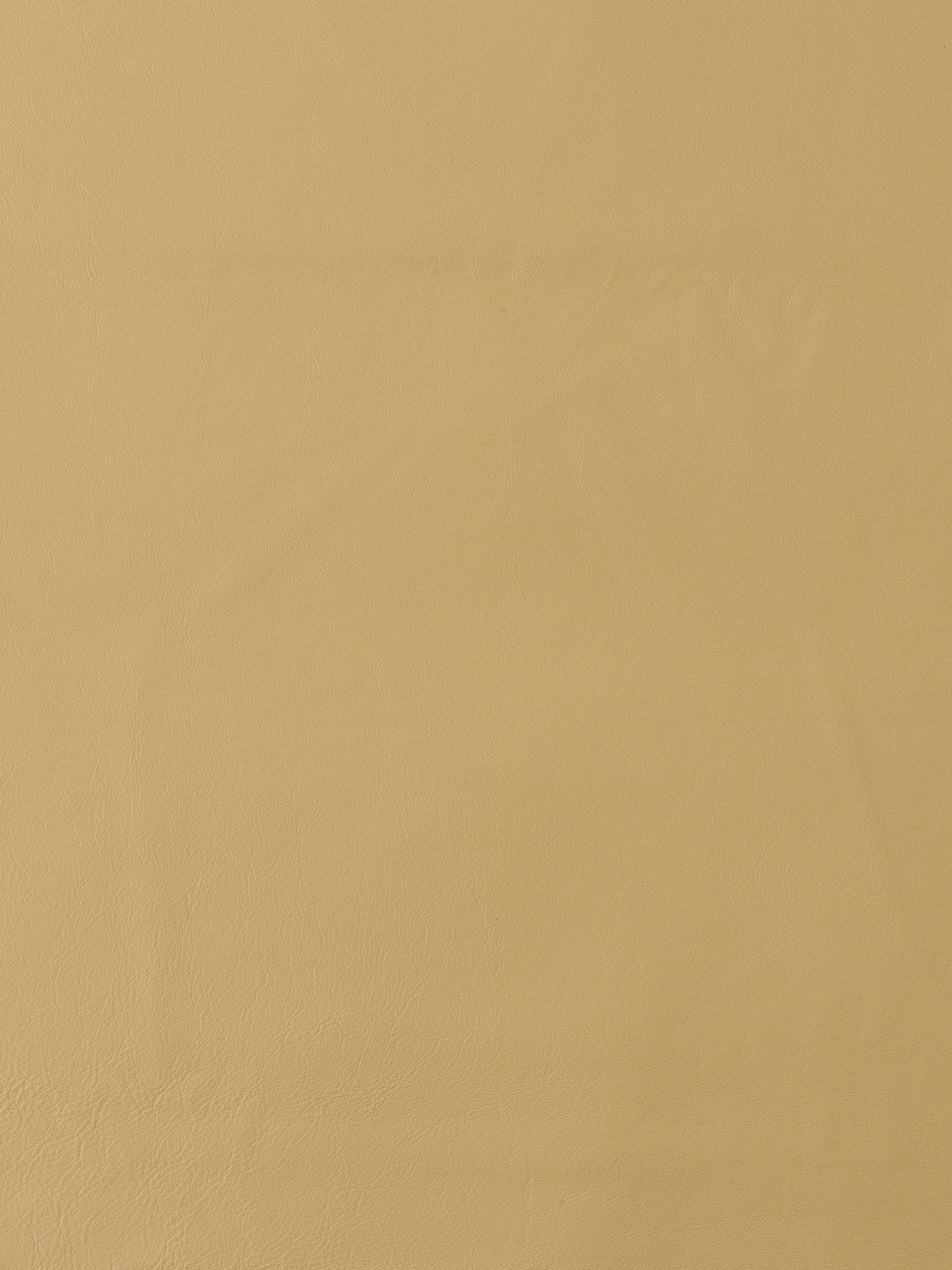 Product L-1003-18 image