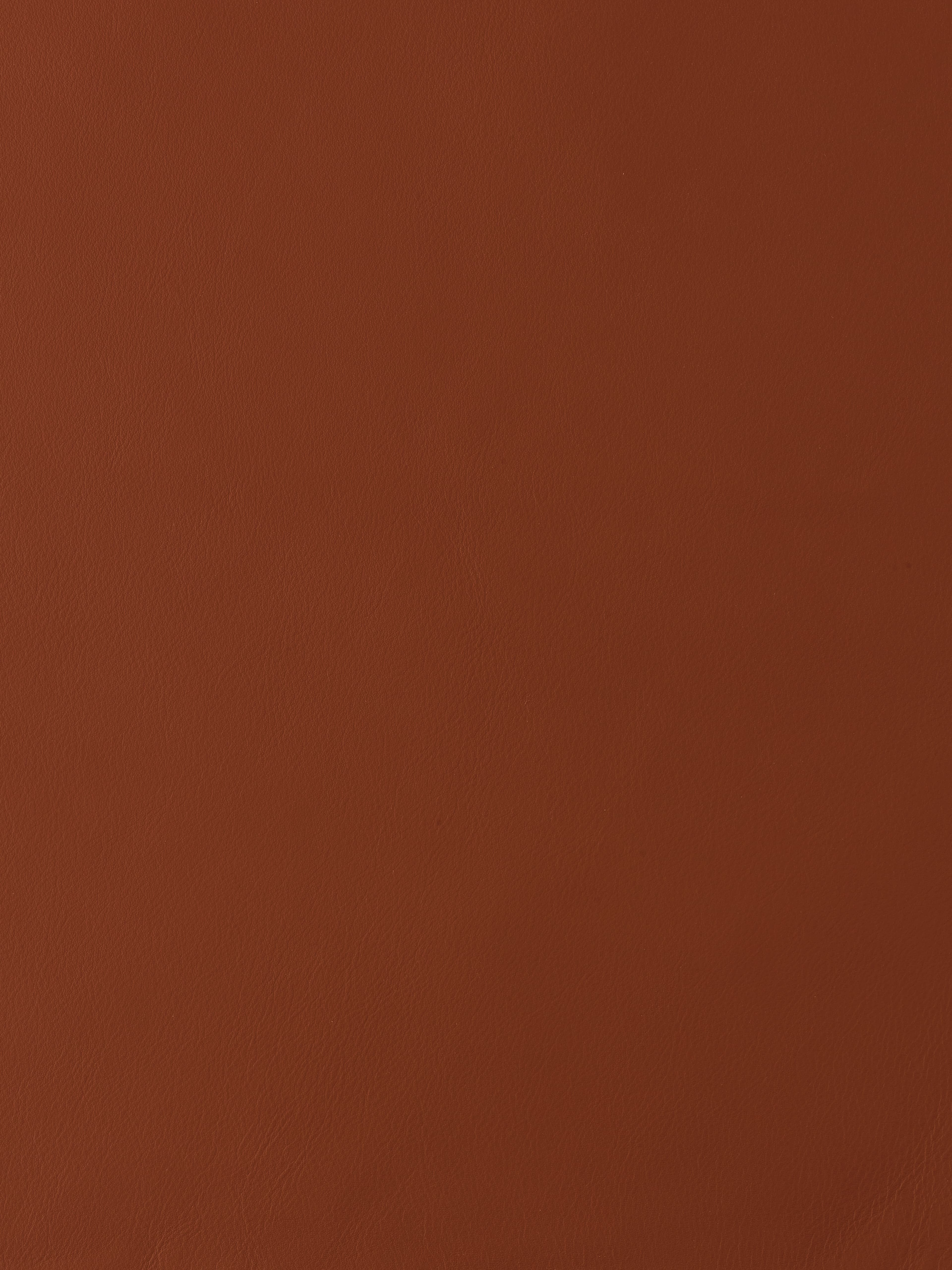 Product L-1003-19 image