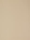 Product color PF8001-01 image