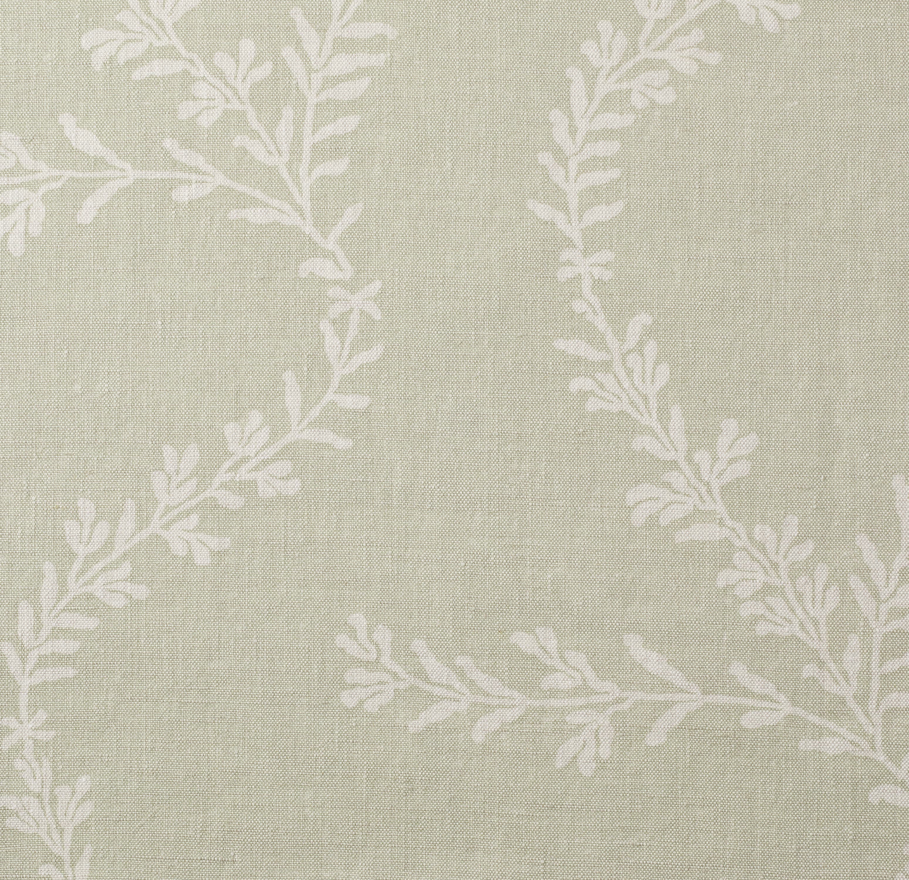 Product RG006-02 image