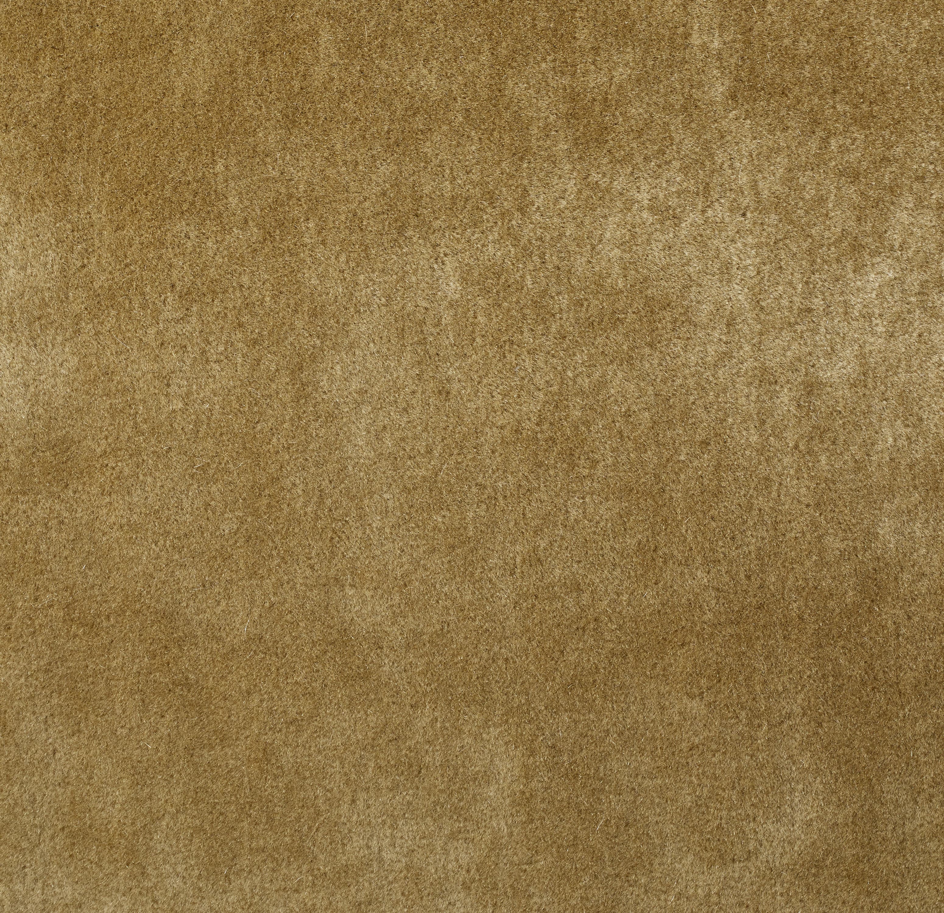 Product RG022-02 image