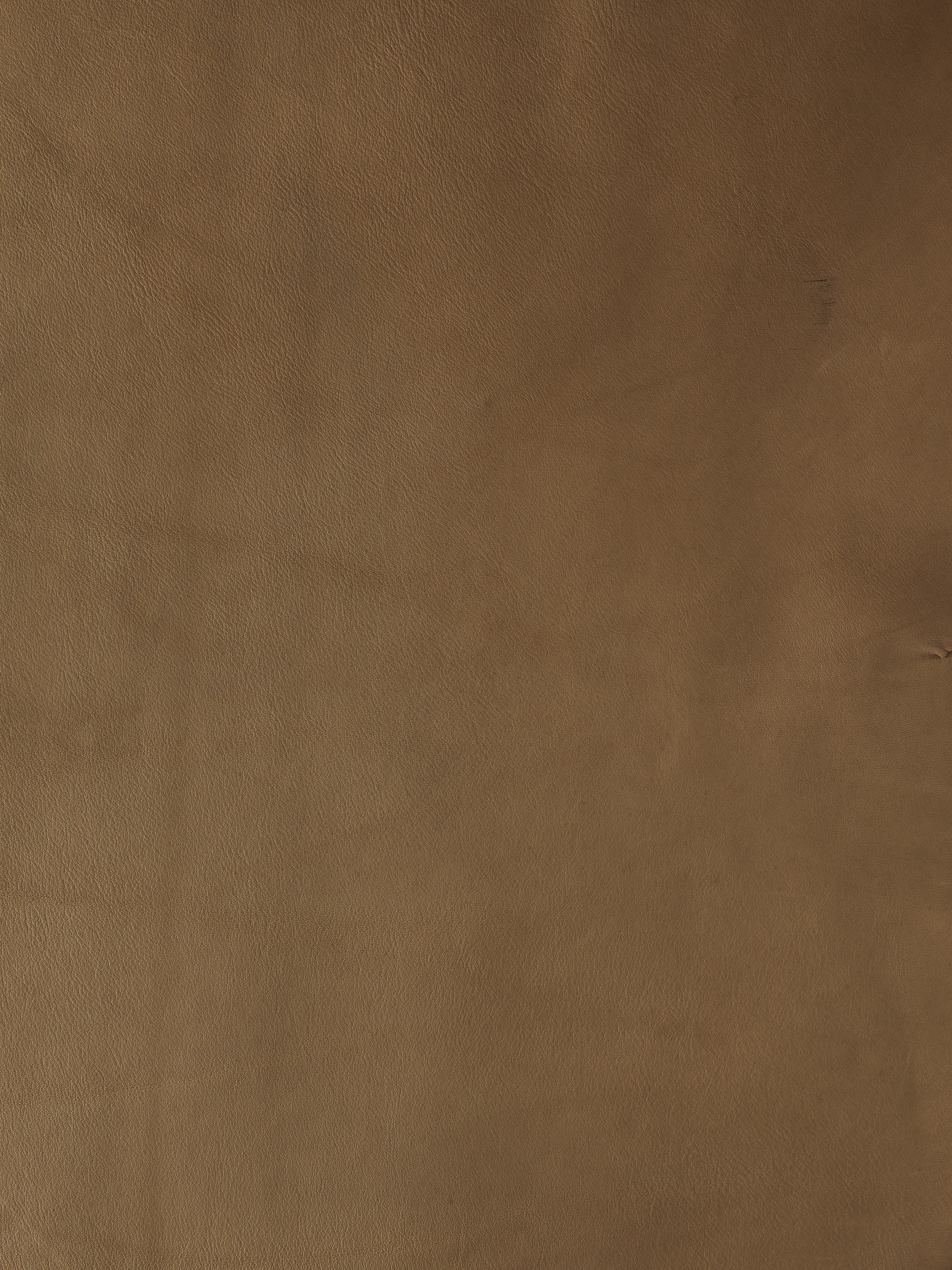 Product L-1002-02 image