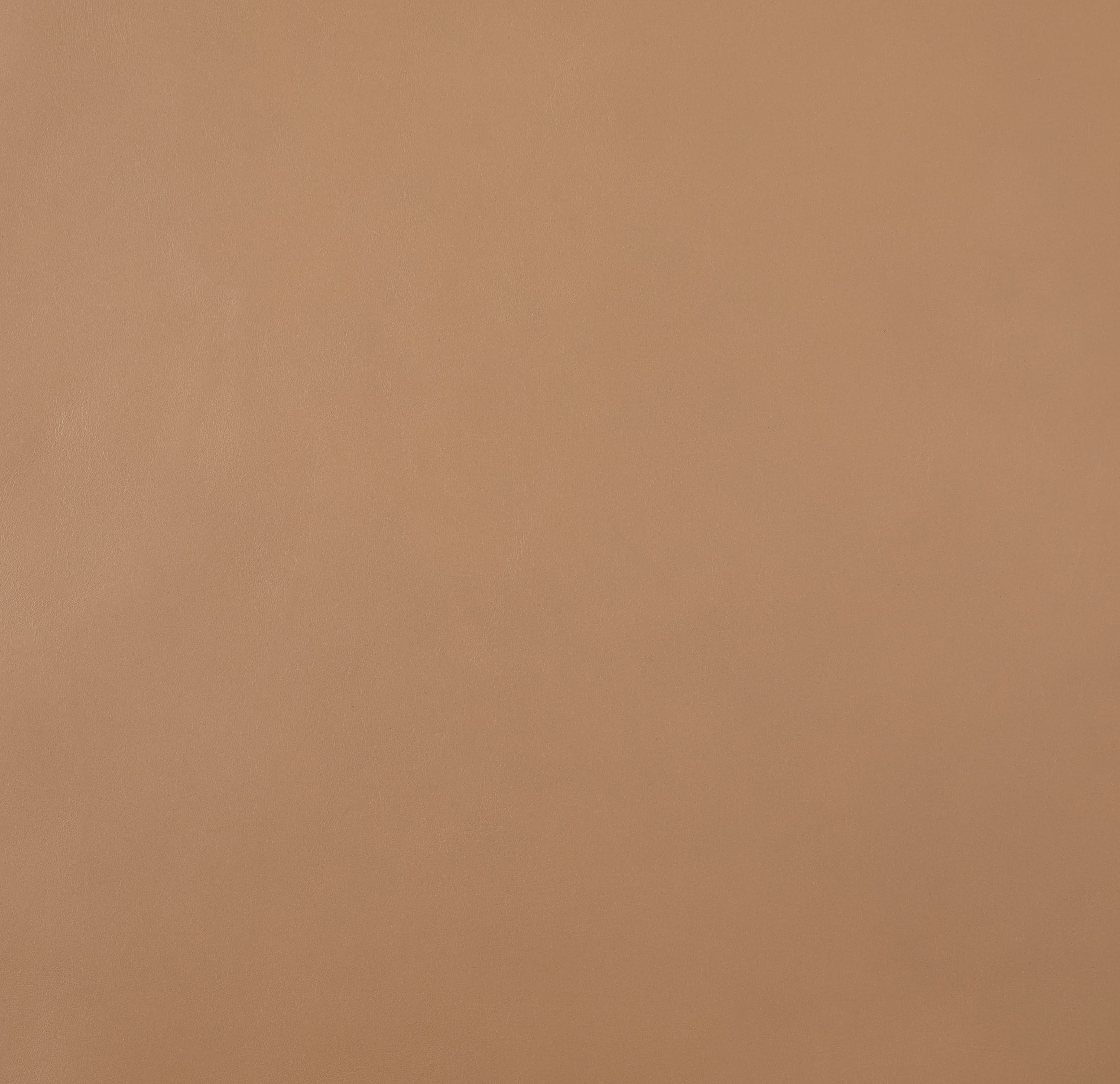 Product L-1007-02 image